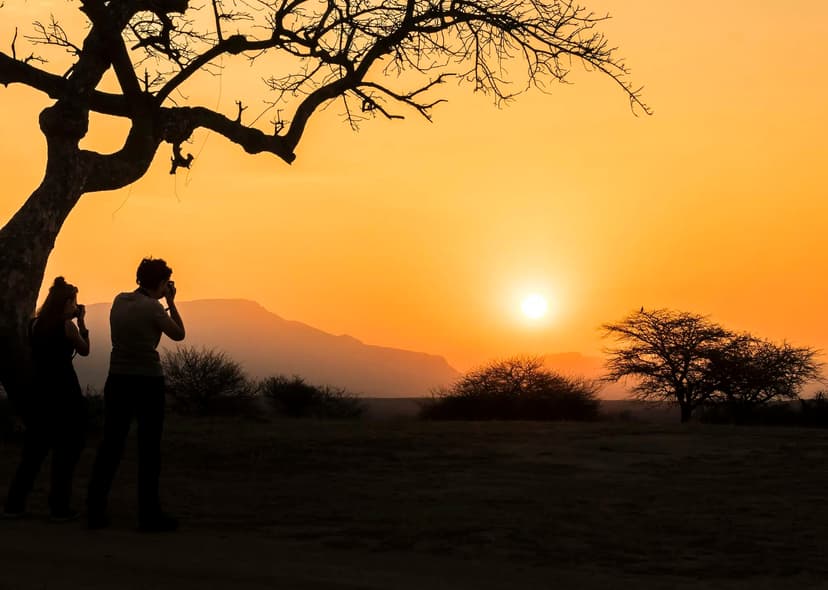 South Africa safari