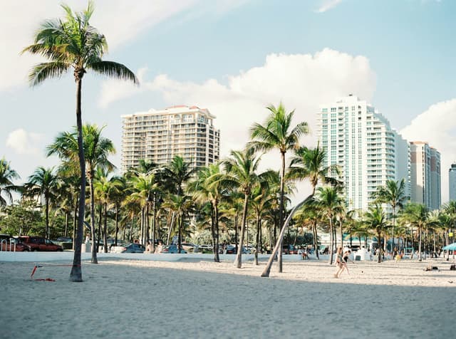 Plage urbaine aux États-Unis avec palmiers et immeubles, représentative du système scolaire américain et de la vie quotidienne.