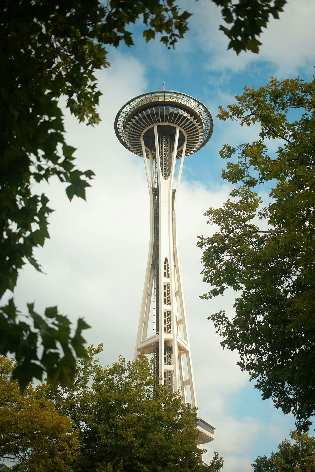 La Space Needle de Seattle vue depuis le sol, entourée d’arbres et de ciel bleu, symbole emblématique des États-Unis et du système scolaire américain.