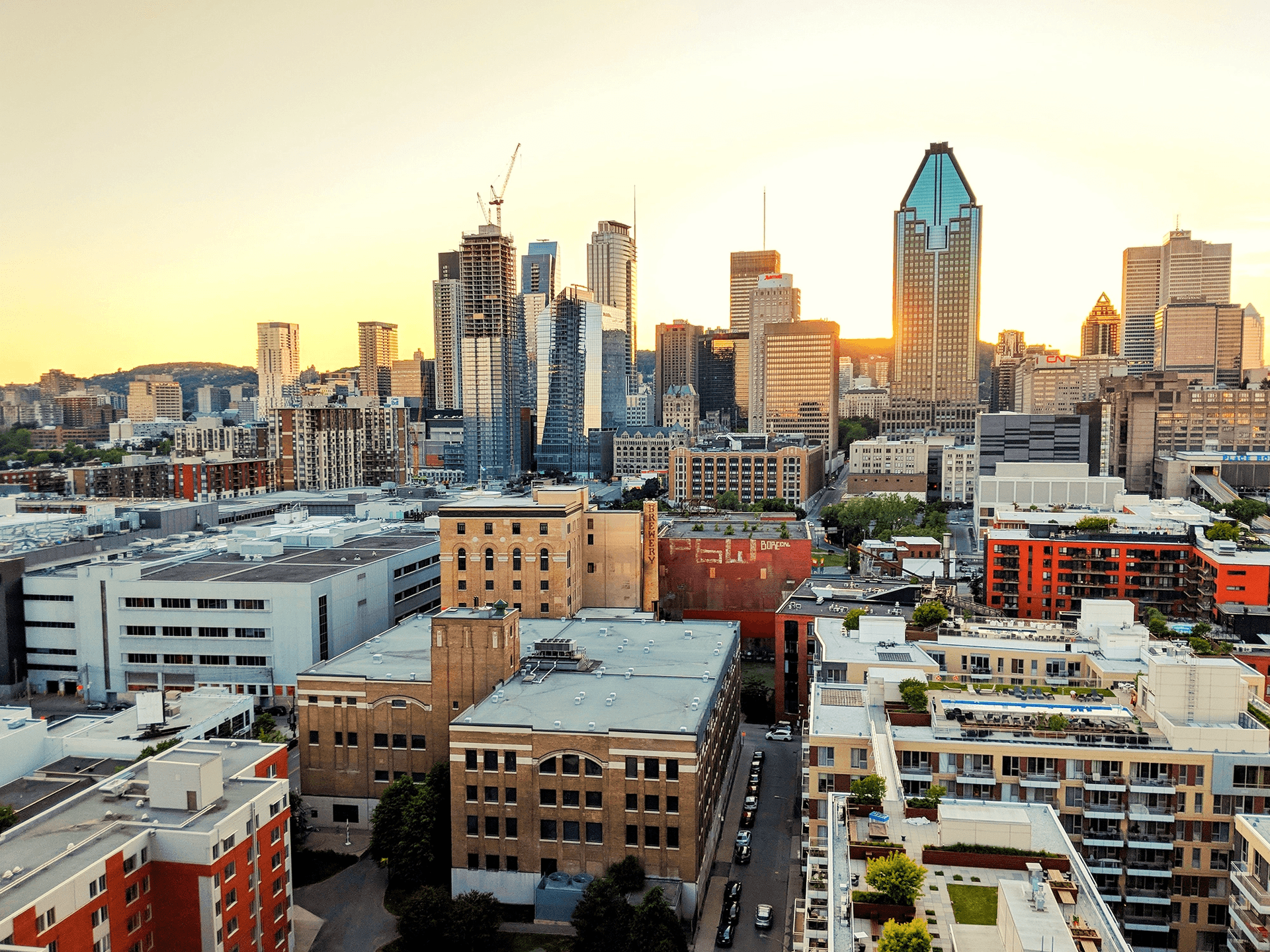 Vue du skyline de Montréal au coucher du soleil pendant des cours de langue