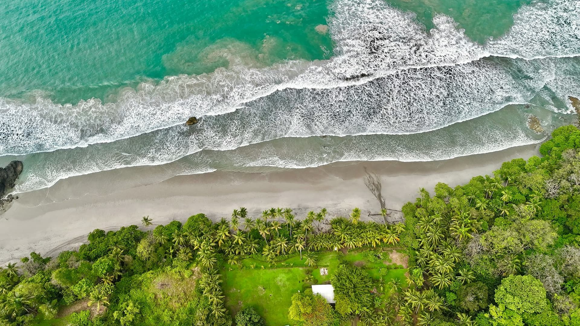 Vue aérienne d’une plage tropicale avec océan et végétation, illustrant l’environnement naturel autour du système scolaire au Costa Rica.